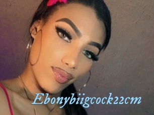 Ebonybiigcock22cm