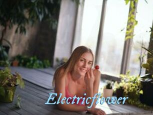 Electricflower