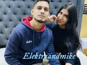 Elektraandmike