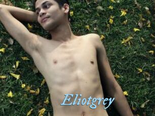 Eliotgrey