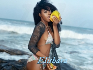 Elishara