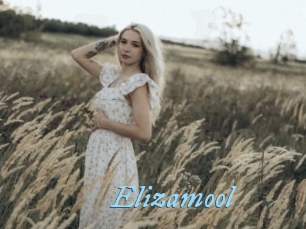 Elizamool