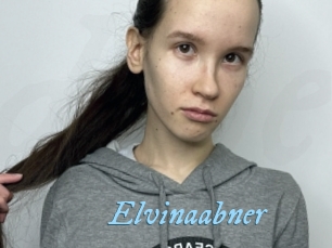 Elvinaabner