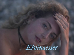 Elvinaesser