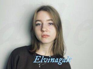 Elvinagalt