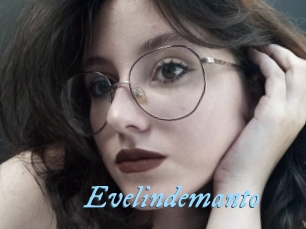 Evelindemanto