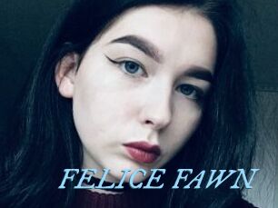 FELICE_FAWN