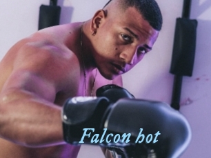 Falcon_hot