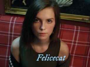 Felicecat