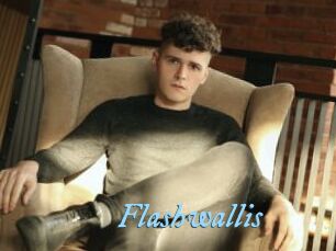 Flashwallis