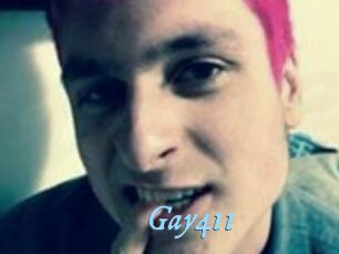 Gay411