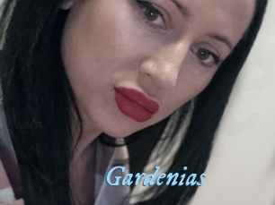 Gardenias