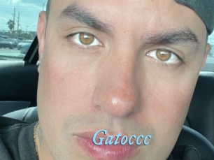 Gatoccc