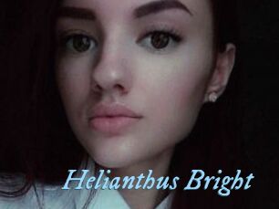 Helianthus_Bright