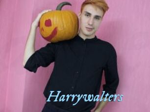 Harrywalters