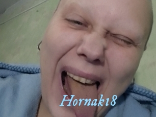 Hornak18