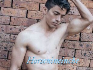 Horsenineinche