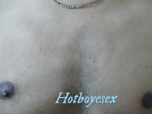 Hotboyesex