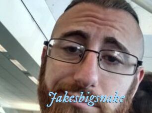 Jakesbigsnake