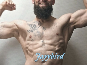 Jayybird