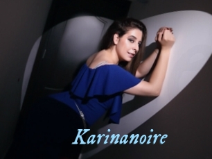 Karinanoire