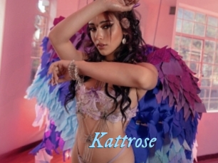 Kattrose