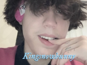 Kingsnowbunny