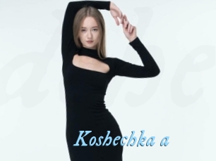 Koshechka_a