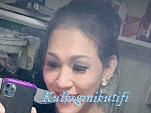 Kulkoginikutifi
