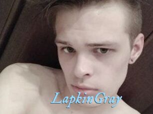 LapkinGray