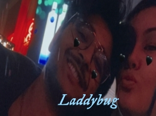 Laddybug