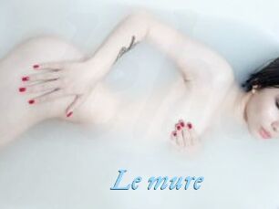 Le_mure