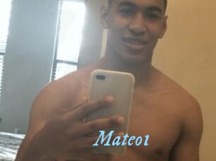 Mateo1