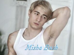 Misha_Bush