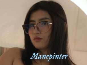 Manepinter