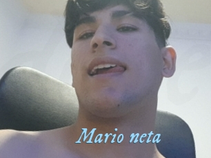 Mario_neta