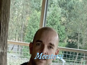 Meesterv