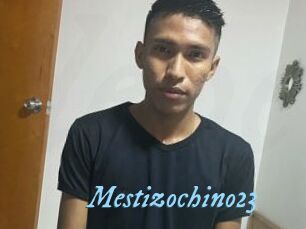 Mestizochino23