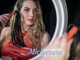 Micheevans