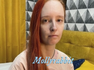 Mollyrabbit