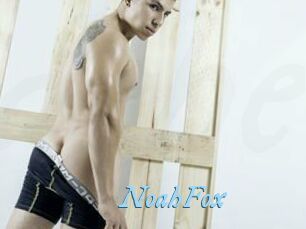 NoahFox