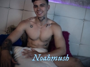 Noahmush