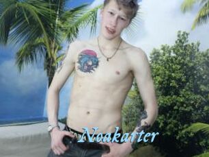 Noakarter