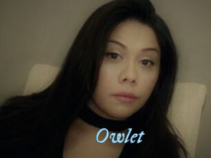 _Owlet_