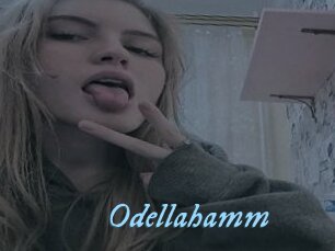 Odellahamm