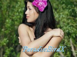 ParadiseBirdX