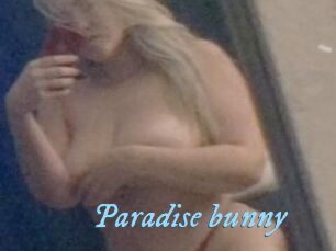 Paradise_bunny