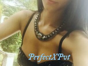 PerfectXPvt_