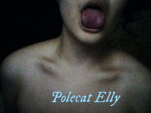 Polecat_Elly
