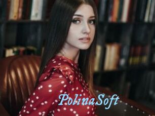 PolinaSoft